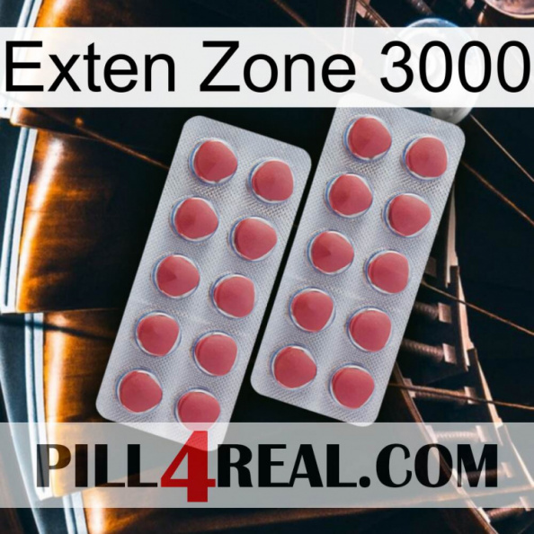 Exten Zone 3000 19.jpg